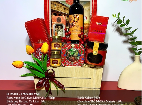 Giỏ quà Tết SG25110